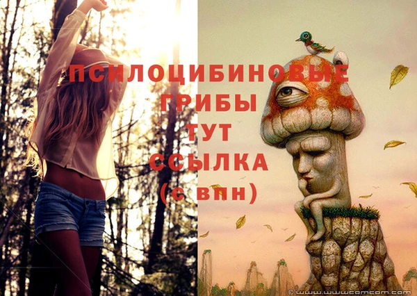 марки lsd Мегион