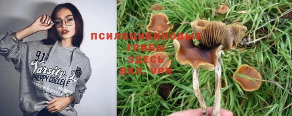 мдма Медвежьегорск