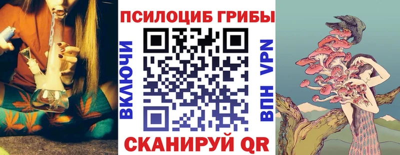 Галлюциногенные грибы GOLDEN TEACHER  магазин продажи   Шенкурск 